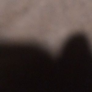 Meet your Posher, Maggie